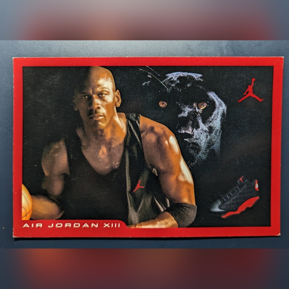 Jordan Retro 13 Insert Card